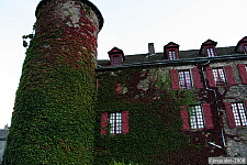 Pour agrandir cliquer sur la vignette img_4143.jpg