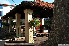 Pour agrandir cliquer sur la vignette img_4170.jpg