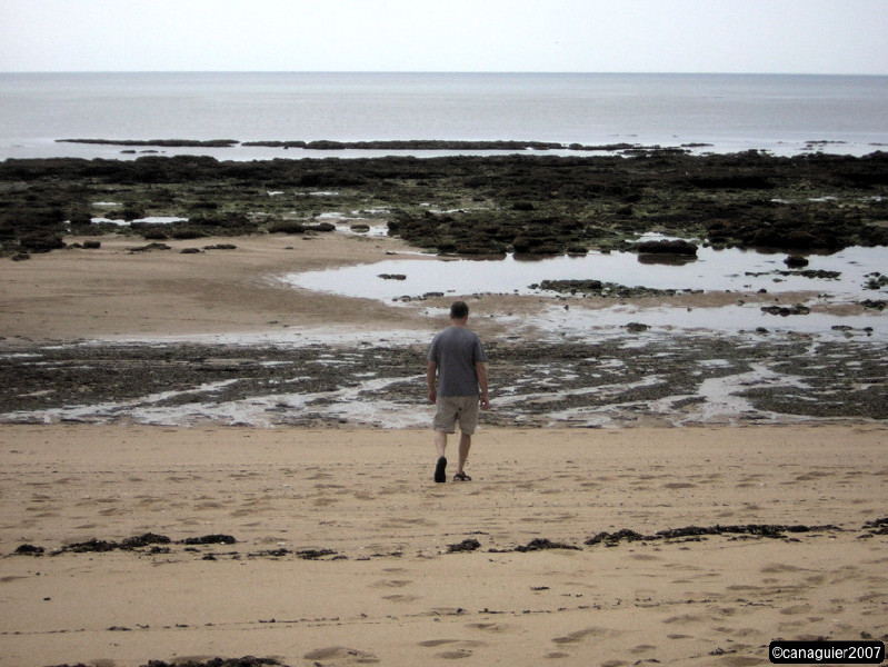 dscn2113.jpg