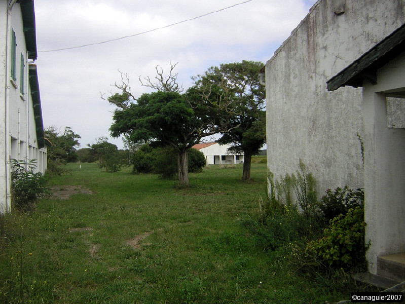 dscn2122.jpg
