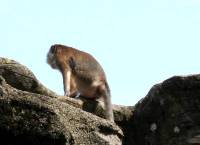 img_1877