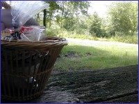 Pour agrandir cliquer sur la vignette lindre04.jpg