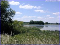 Pour agrandir cliquer sur la vignette lindre07.jpg