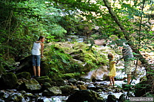 Pour agrandir cliquer sur la vignette img_3946.jpg