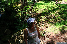 Pour agrandir cliquer sur la vignette img_3951.jpg